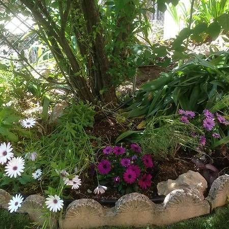 Chantemerle * Cannes