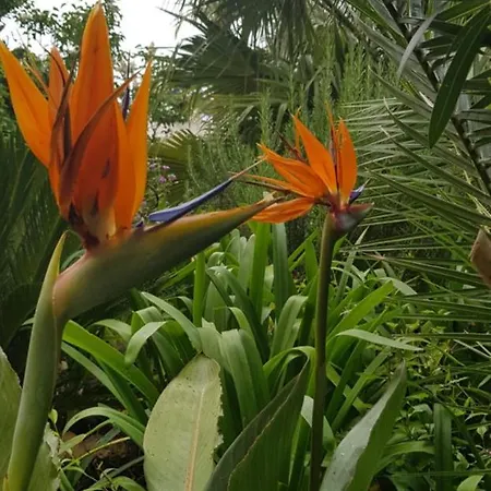 Chantemerle Apartmán