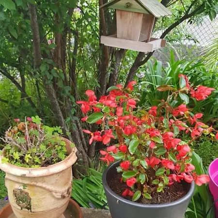 Chantemerle Κάννες